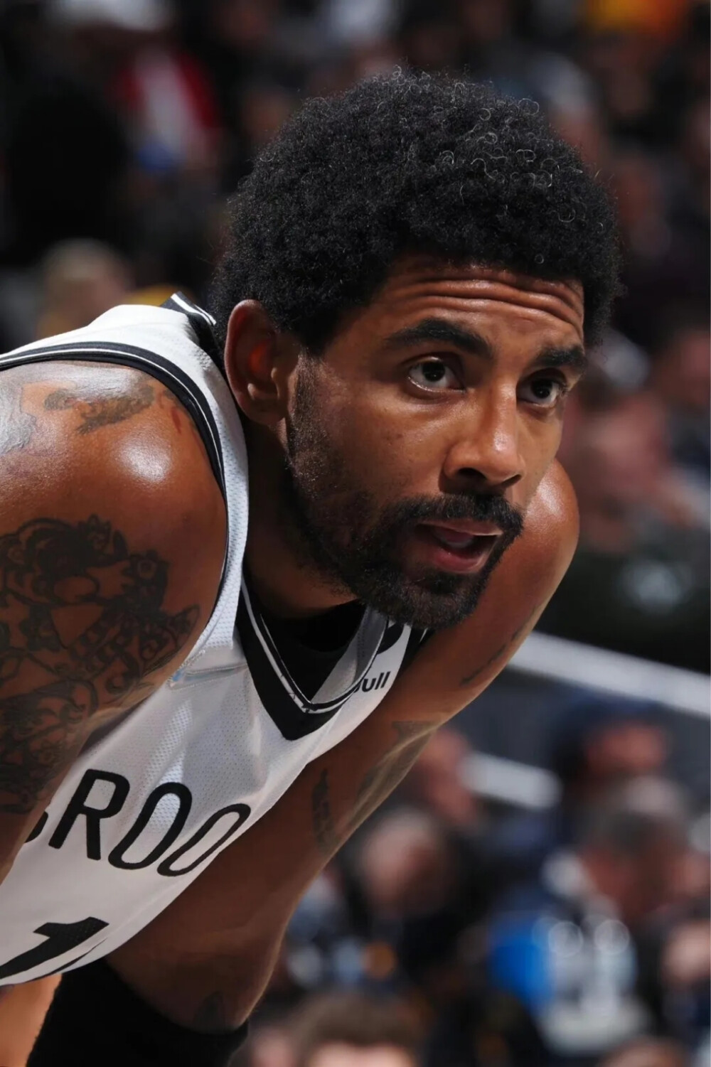 卡尔：我从凯恩、基米希等队友身上学到很多东西（卡尔：向凯恩、基米希等队友学到了许多）